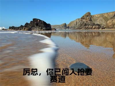 厉总，你已闯入抢妻赛道全文免费阅读无弹窗大结局-沈雨琪厉泽宇全文在线阅读最新章节列表_笔趣阁