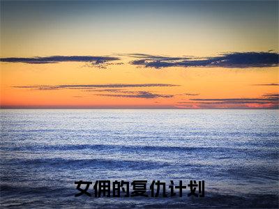 女佣的复仇计划（贺凌飞宋思瑜）全文免费阅读无弹窗_女佣的复仇计划最新小说_笔趣阁（贺凌飞宋思瑜）