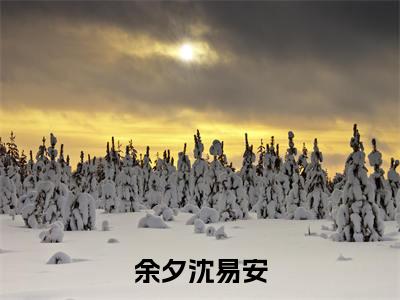 余夕沈易安新书热荐免费小说余夕沈易安-小说余夕沈易安大结局
