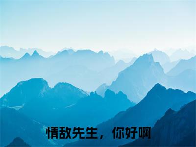 情敌先生,你好啊(岑沐白郁天青)全文免费阅读无弹窗大结局_岑沐白郁天青最新章节列表