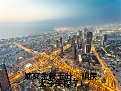 嫡女金枝玉叶,阴戾太子失控了!全文免费阅读无弹窗大结局-姜翰汶沈金瑶全文在线阅读