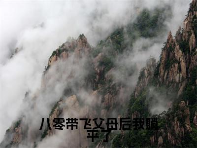 八零带飞父母后我躺平了小说全文免费阅读(苏子祁)免费阅读全文免费阅读无弹窗大结局