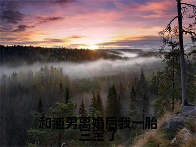 傅斯年夏灵今日阅读更新，和渣男离婚后我一胎三宝了全文在线看