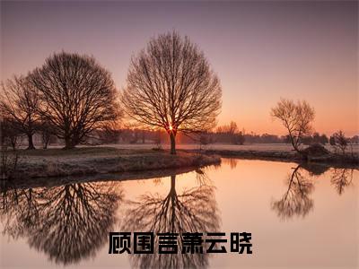 顾围言萧云晓全文免费阅读无弹窗大结局_(萧云晓顾围言)顾围言萧云晓免费阅读无弹窗最新章节列表_笔趣阁
