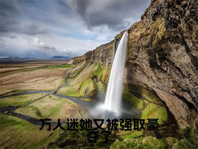 万人迷她又被强取豪夺了小说全文(花琉璃)全文免费阅读无弹窗大结局_万人迷她又被强取豪夺了全文免费阅读无弹窗最新章节列表