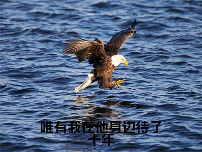 唯有我在他身边待了十年最新章节(厉斐言齐疏桐)全文免费阅读无弹窗大结局_厉斐言齐疏桐唯有我在他身边待了十年全文免费阅读