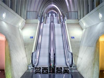 贺西瑾黎奚(黎奚贺西瑾)全文免费阅读无弹窗大结局_贺西瑾黎奚全文阅读_笔趣阁(黎奚贺西瑾)