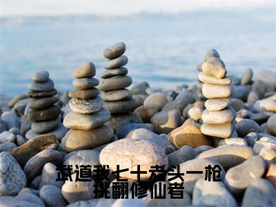 （林北）武道我七十老头一枪挑翻修仙者小说小说免费林北读无弹窗最新章节列表_笔趣阁（武道我七十老头一枪挑翻修仙者）