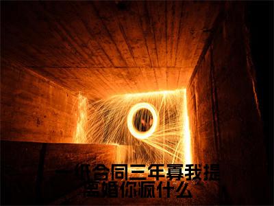 一纸合同三年寡我提离婚你疯什么是什么小说-沈秋池免费小说在线阅读