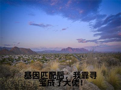 商以宁基因匹配后，我靠寻宝成了大佬！完结小说-基因匹配后，我靠寻宝成了大佬！全文免费阅读无弹窗