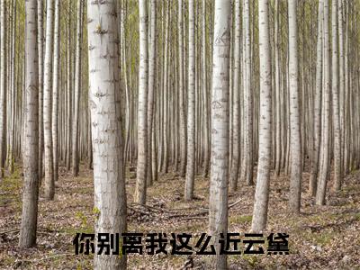 你别离我这么近云黛全文免费阅读-（云黛）小说全文免费阅读正版无弹窗