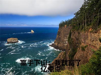 叶飞全文免费免费阅读无弹窗最新章节列表_笔趣阁(高手下山:我就富了亿点点全文免费)