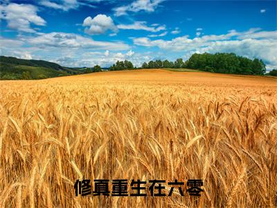 安柳(安柳)全文免费阅读无弹窗大结局_修真重生在六零小说最新章节列表_笔趣阁