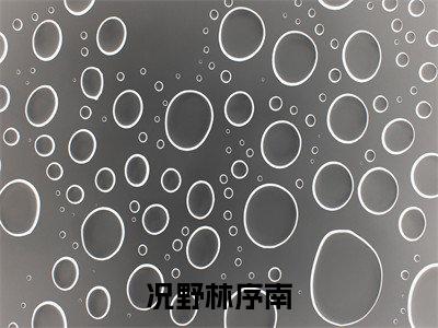况野林序南（况野林序南）全文免费阅读无弹窗大结局_况野林序南最新章节列表-笔趣阁况野林序南