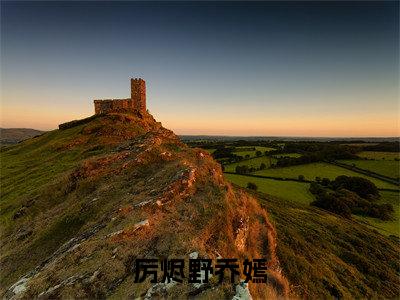 厉烬野乔嫣在线阅读（厉烬野乔嫣小说）全文免费阅读无弹窗大结局_厉烬野乔嫣免费最新章节列表