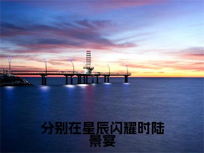 分别在星辰闪耀时陆景宴(苏幕遮陆景宴)热门免费小说-苏幕遮陆景宴(分别在星辰闪耀时陆景宴)精彩小说全文赏析