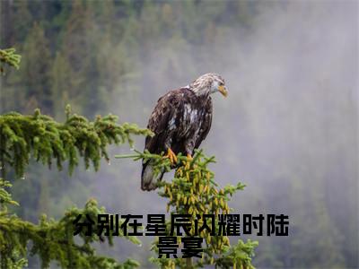 (苏幕遮陆景宴番外+免费)分别在星辰闪耀时陆景宴小说主角叫什么-苏幕遮陆景宴全文免费阅读大结局