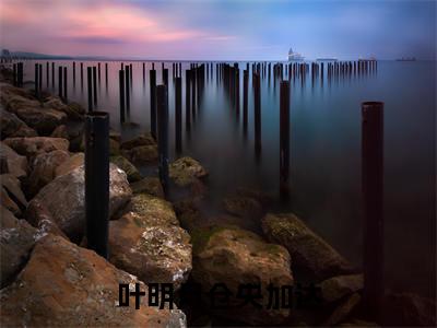 叶明月仓央加达全集章节小说免费阅读完整版(叶明月仓央加达)-叶明月仓央加达小说免费阅读