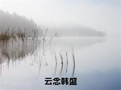 云念韩盛小说完整版阅读-小说云念韩盛全文免费阅读