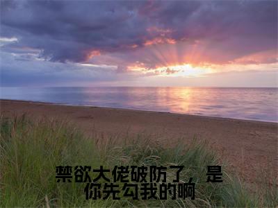 禁欲大佬破防了,是你先勾我的啊小说讲的是什么-温颜蓝珩精彩章节目录观看
