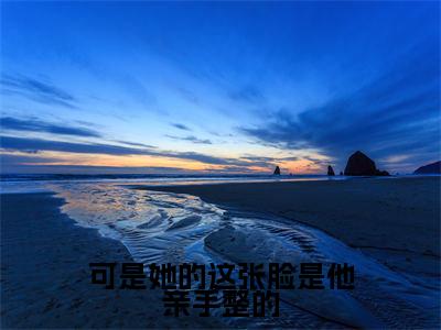 (可是她的这张脸是他亲手整的)完整版小说阅读,虞苒苒沈淮序小说精彩免费试读