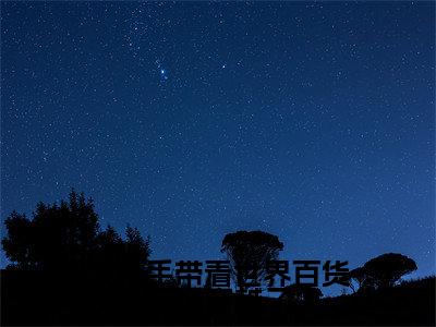 女杀手带着世界百货商场穿越了小说好看吗女杀手带着世界百货商场穿越了热门推荐小说(白蔷薇)全章节阅读_笔趣阁