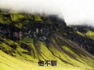 沈漾江烬（他不驯）小说最新章节-他不驯全文免费阅读无弹窗大结局