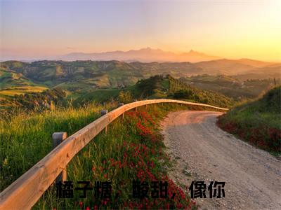 橘子糖，酸甜，像你（应礼时颜橘）全文免费阅读-（应礼时颜橘小说）橘子糖，酸甜，像你最新章节列表