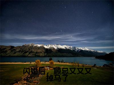 《闪婚后,顾总又又又掉马了》主角是季清霖顾北笙全文免费阅读已完结