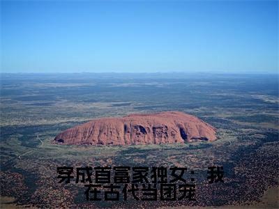 主角是江清月的小说-穿成首富家独女:我在古代当团宠全文无弹窗免费阅读