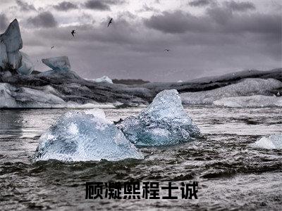 顾凝熙程士诚(顾凝熙程士诚)全文免费阅读无弹窗_顾凝熙程士诚最新小说_笔趣阁(顾凝熙程士诚)