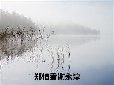 郑惜雪谢永淳（郑惜雪谢永淳全文免费阅读）无弹窗-郑惜雪谢永淳（郑惜雪谢永淳）完整版在线赏析笔趣阁