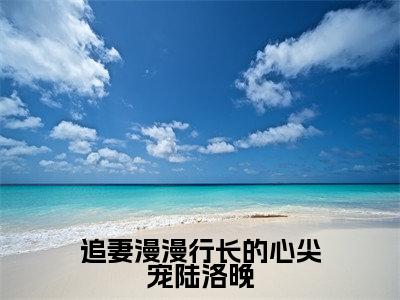 追妻漫漫行长的心尖宠陆洛晚小说(沈以谦陆洛晚)全文免费阅读无弹窗大结局_沈以谦陆洛晚最新章节列表