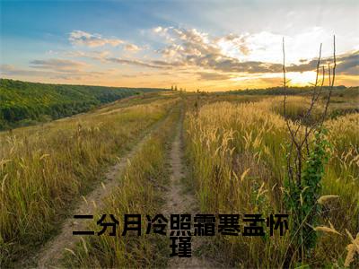 二分月冷照霜寒孟怀瑾（苏一茉孟怀瑾）全文免费读无弹窗大结局_苏一茉孟怀瑾免费小说无弹窗最新章节列表