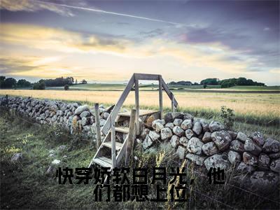 苏妧小说在线阅读快穿娇软白月光,他们都想上位无广告小说免费在线阅读
