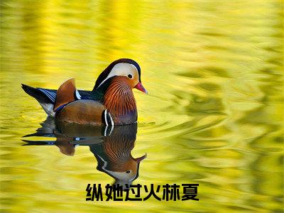 纵她过火林夏小说全文免费阅读正版慕景炎林夏免费阅读无弹窗