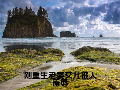 叶枫全文免费阅读大结局刚重生老婆女儿被人羞辱最新章节列表