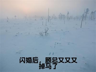 闪婚后，顾总又又又掉马了《季清霖顾北笙小说免费阅读》完整-闪婚后，顾总又又又掉马了小说（季清霖顾北笙）全文最新阅读