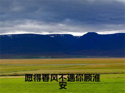 愿得春风不遇你顾淮安小说全文免费阅读(莫雨萱顾淮安)全文免费阅读无弹窗大结局