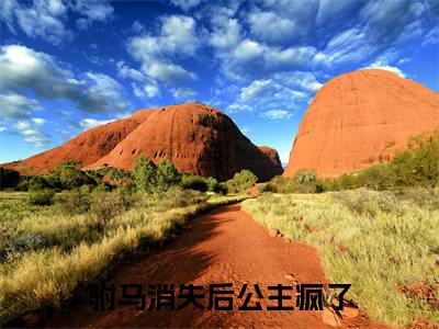 驸马消失后公主疯了慕容棠孟砚辞正版小说最新章节在线阅读-最火热点小说驸马消失后公主疯了最新更新