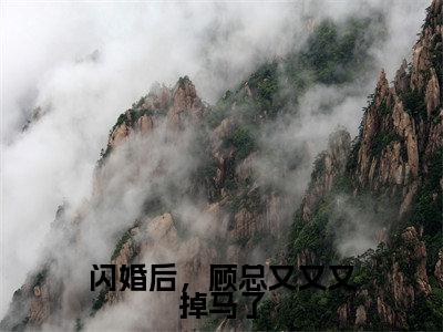 闪婚后,顾总又又又掉马了季清霖顾北笙全文小说-闪婚后,顾总又又又掉马了小说最新章节免费阅读