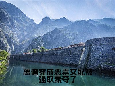 离谱穿成恶毒女配被强取豪夺了(霍殃郁娴)全文免费阅读无弹窗大结局_霍殃郁娴小说最新章节列表_笔趣阁