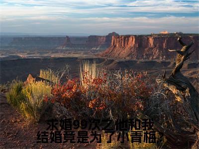 求婚99次之他和我结婚竟是为了小青梅?全文免费阅读-(周逸鸣)小说全文免费阅读正版无弹窗