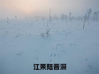 江茉陆晋深全文免费阅读_(陆晋深江茉免费阅读无弹窗)江茉陆晋深最新章节列表笔趣阁