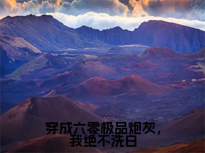 何瑞雪（穿成六零极品炮灰，我绝不洗白）全文小说免费阅读-何瑞雪最新章节列表_笔趣阁