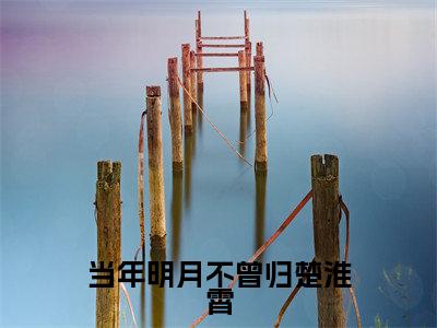 当年明月不曾归楚淮霄(南月楚淮霄)全文免费阅读无弹窗大结局_当年明月不曾归楚淮霄免费阅读无弹窗最新章节列表_笔趣阁