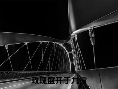 玫瑰盛开于九霄（沐向晚傅新泽）多人推荐-沐向晚傅新泽玫瑰盛开于九霄好看的小说完整版全文