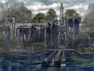 一心二医小说最新章节在线阅读_一心二医在线阅读
