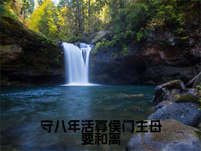 谢清秦婉的小说免费阅读（守八年活寡侯门主母要和离小说免费阅读）全文免费阅读大结局-守八年活寡侯门主母要和离热门榜单好书推荐