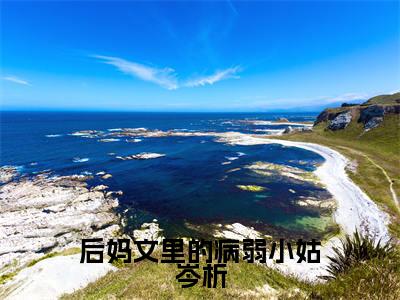 后妈文里的病弱小姑岑析全文免费阅读大结局_后妈文里的病弱小姑岑析(林清岑析)最新章节列表